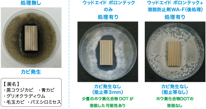 カビ抵抗性試験 pc