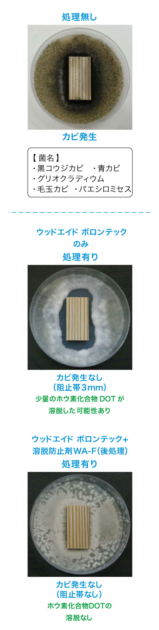 カビ抵抗性試験 sp