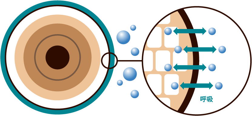 呼吸