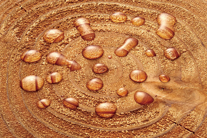 塗布（撥水あり）