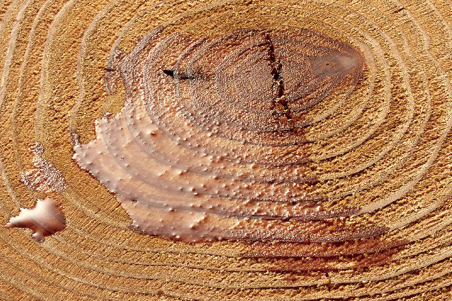 無塗布（撥水なし）