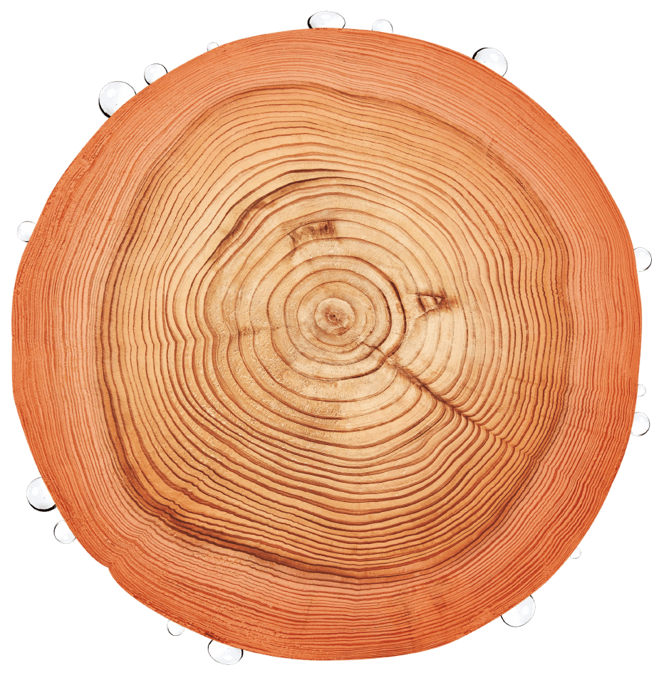 ウッドエイドボロンテック