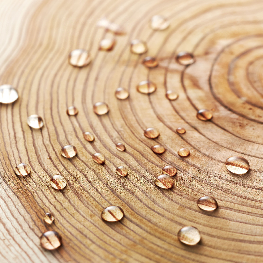 ウッドエイドライト